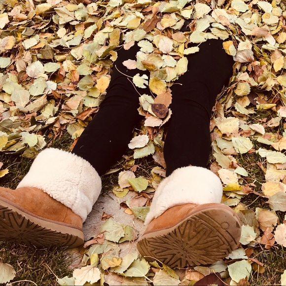 Meet your Posher, Megan - Picture 1 of 1